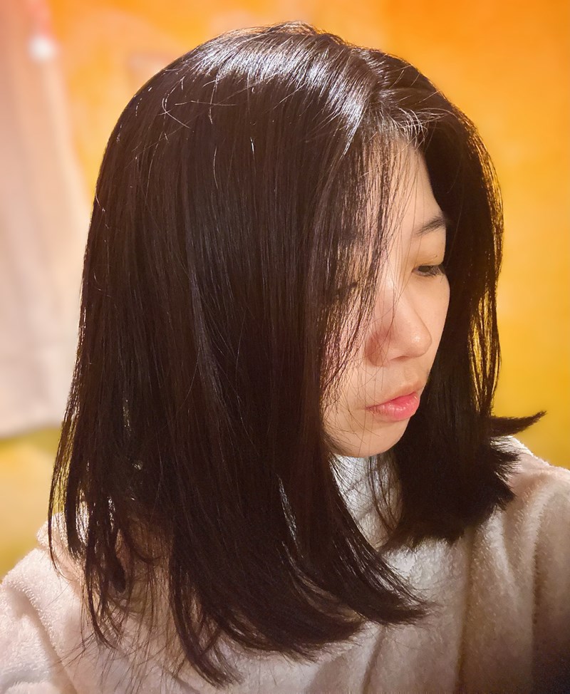 試用